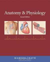 Anatomy & Physiology with IP-10 (2nd Edition) (MyA&P Series)