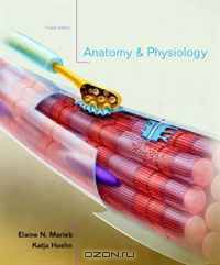 Anatomy & Physiology with Interactive Physiology 10-System Suite (4th Edition)