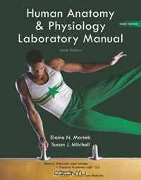 Human Anatomy & Physiology: Main Version