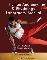 Human Anatomy & Physiology: Rat Version