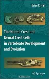 The Neural Crest and Neural Crest Cells in Vertebrate Development and Evolution (Springer series in solid-state sciences)