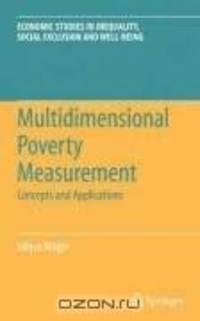 Multidimensional Poverty Measurement: Concepts and Applications (Economic Studies in Inequality, Social Exclusion and Well-Being)