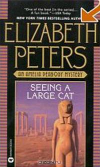 Seeing a Large Cat
