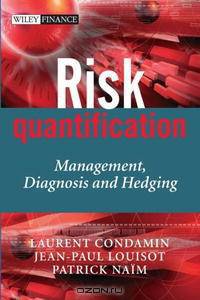 Risk Quantification: Management, Diagnosis and Hedging (The Wiley Finance Series)