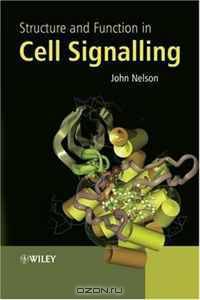 Structure and Function in Cell Signalling