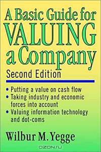 A Basic Guide for Valuing a Company, 2nd Edition
