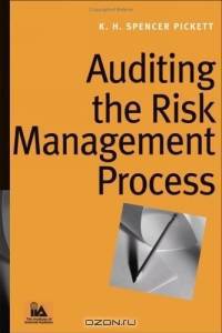 Auditing the Risk Management Process
