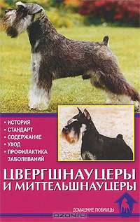 Цвергшнауцеры и миттельшнауцеры