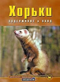 Хорьки. Содержание и уход
