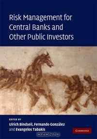 Risk Management for Central Banks and Other Public Investors