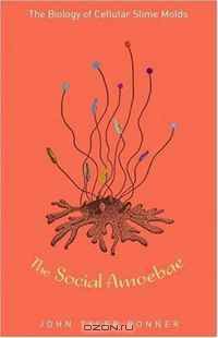 The Social Amoebae: The Biology of Cellular Slime Molds