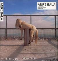 Anri Sala (Contemporary Artists)