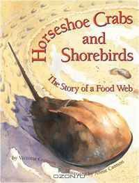 Horseshoe Crabs and Shorebirds: The Story of a Food Web