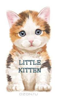 Little Kitten (Look at Me Books)