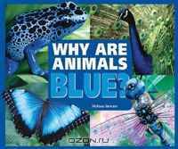 Why Are Animals Blue? (Rainbow of Animals)