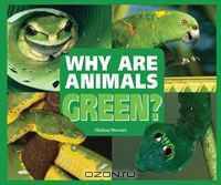 Why Are Animals Green? (Rainbow of Animals)