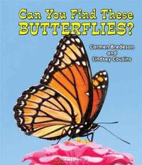 Can You Find These Butterflies? (All about Nature)