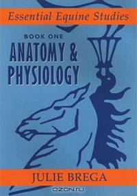 Anatomy and Physiology: Book 1 Anatomy & Physiology