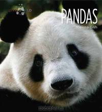 Pandas (Living Wild)