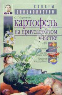 Картофель на приусадебном участке