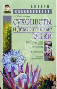 Сухоцветы и декоративные злаки