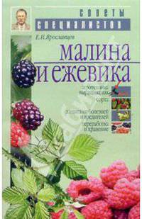 Малина и ежевика