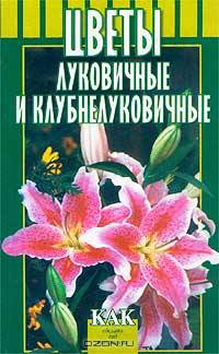 Цветы луковичные и клубнелуковичные