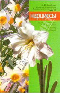 Нарциссы