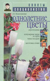Однолетние цветы - (Советы специалистов)