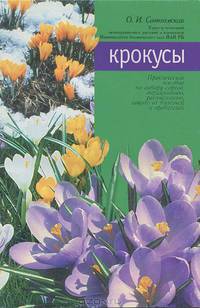 Крокусы
