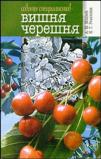 Вишня и черешня (Советы специалистов)