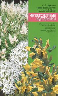 Неприхотливые кустарники (карагана, дерен, пузыреплодник, рябинник, кизильник)