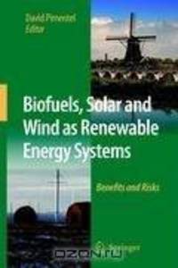 Biofuels, Solar and Wind as Renewable Energy Systems: Benefits and Risks