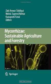 Mycorrhizae: Sustainable Agriculture and Forestry