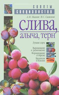 Слива, алыча, терн