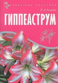 Комнатные растения. Гиппеаструм.