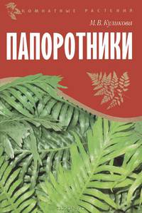 Папоротники