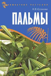 Комнатные растения. Пальмы.