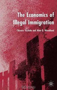The Economics of Illegal Immigration