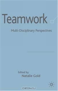 Teamwork : An Interdisciplinary Perspective