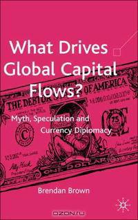 What Drives Global Capital Flows?: Myth, Speculation and Currency Diplomacy