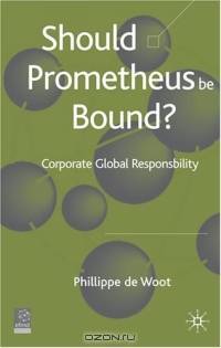 Should Prometheus Be Bound? : Corporate Global Responsibility