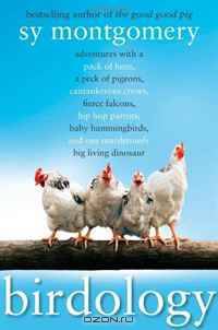 Birdology: Adventures with a Pack of Hens, a Peck of Pigeons, Cantankerous Crows, Fierce Falcons, Hip Hop Parrots, Baby Hummingbirds, and One Murderously Big Living Dinosaur