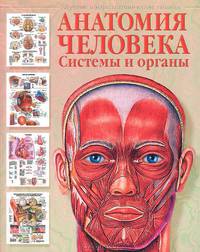 Анатомическое строение внутреннего уха. Преддверно-улитковый орган - орган слуха и равновесия. Плакат