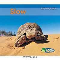 Slow (How Things Move)