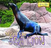 Meet the Sea Lion (At the Zoo)