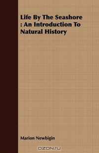 Life By The Seashore: An Introduction To Natural History