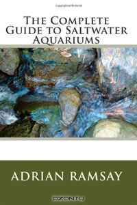 The Complete Guide to Saltwater Aquariums