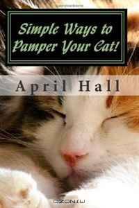 Simple Ways to Pamper Your Cat!