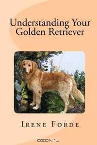 Understanding Your Golden Retriever: A Guide To Choosing & Caring For A Golden Retriever